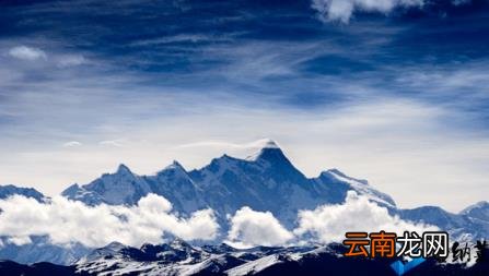 ppt图片怎么布局美观 如何调整ppt比例
