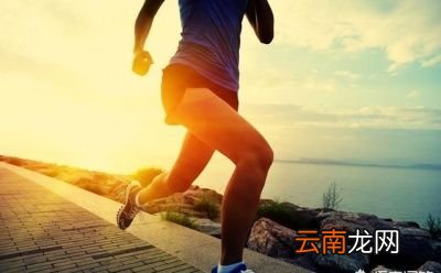 跑步应该天天跑吗