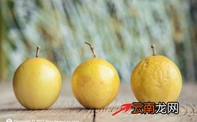 怎么判断百香果是不是坏了呢
