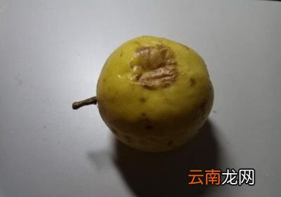怎么判断百香果是不是坏了呢