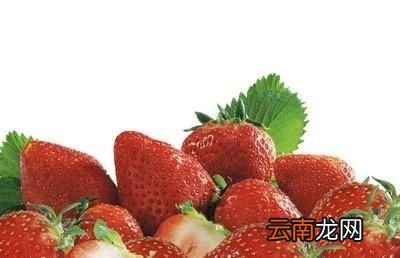 草莓苗子烂茎是什么原因呢