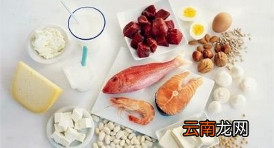 什么样的食物富含优质蛋白