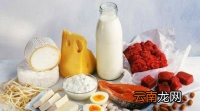 什么样的食物富含优质蛋白