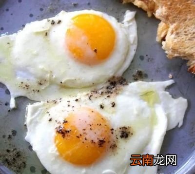 什么是完全蛋白质