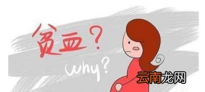 贫血吃什么怎么补铁