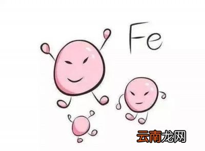 吃什么可以补铁呢