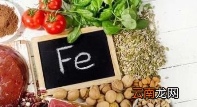 吃什么可以补铁呢