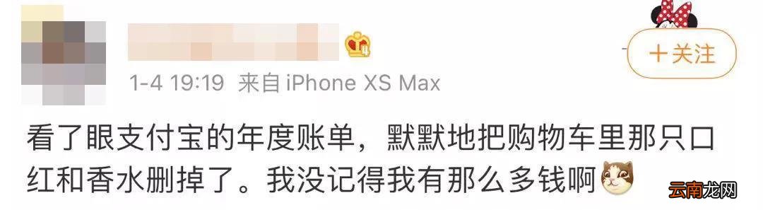 支付宝年度账单怎么查 2022支付宝怎么看年支出账单