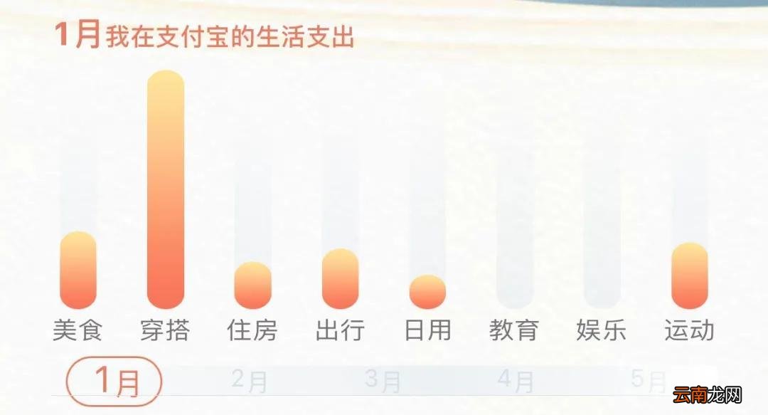 支付宝年度账单怎么查 2022支付宝怎么看年支出账单
