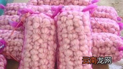 批发仓库是通过什么高科技控制生姜大蒜的发芽