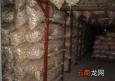 批发仓库是通过什么高科技控制生姜大蒜的发芽