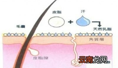 干性皮肤如何酌情选择卸妆油和卸妆水