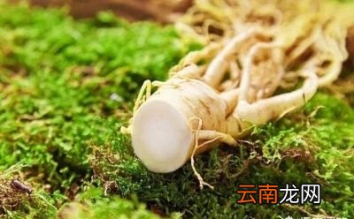 02如何对抗斑点