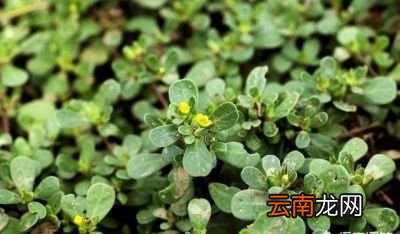 02如何对抗斑点