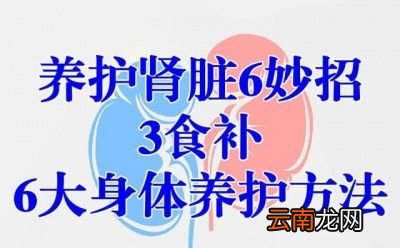 养护肾脏6妙招3食补6大身体养护方法