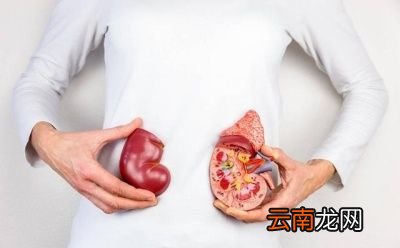 养护肾脏6妙招3食补6大身体养护方法