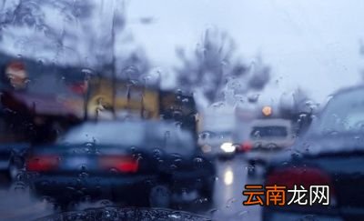 这个夏天为什么如此凉爽呢