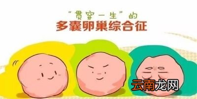 多囊促排前需要做输卵管检查吗