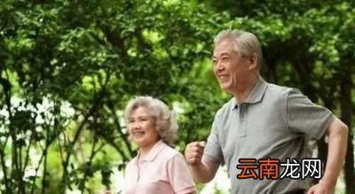 老年人的最好运动是什么