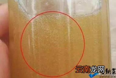 100%纯蜂蜜多少钱一斤 如何识别蜂蜜的真假
