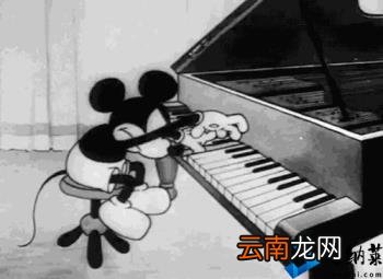 简谱识谱入门教程 如何识谱