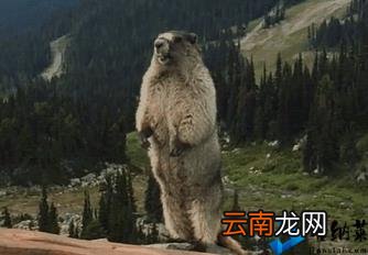简谱识谱入门教程 如何识谱