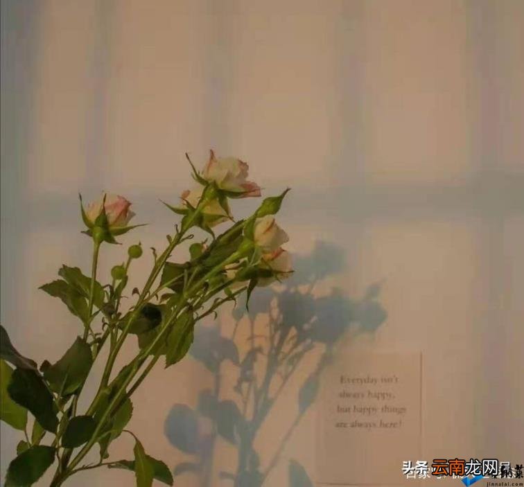 到什么程度就该分手了 如何说分手
