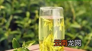绿茶过期了还能干什么