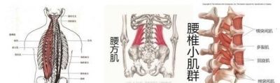 为什么说腰椎间盘突出和颈椎病不能根治呢