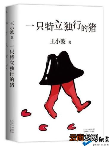 王小波说自己一尺 如何评价王小波