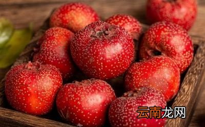 所以胃病到底不能吃哪些水果