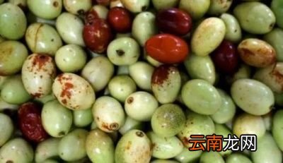 哪些水果胃不好的人要少吃