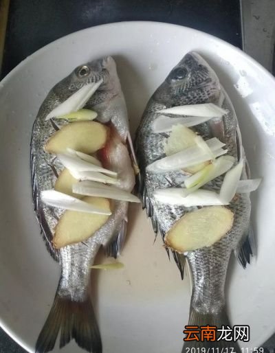 清蒸鱼需要多长时间