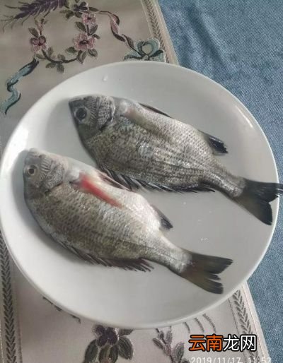 清蒸鱼需要多长时间