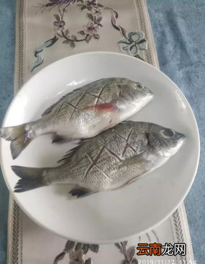 清蒸鱼需要多长时间