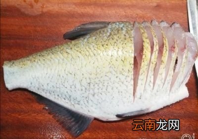 清蒸鱼需要多少时间怎么做好吃呢