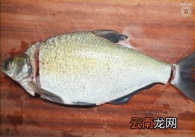 清蒸鱼需要多少时间怎么做好吃呢