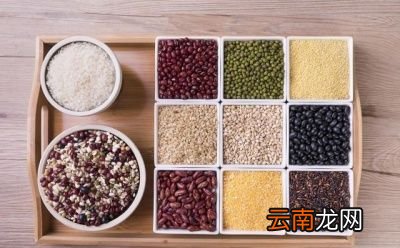 健康减脂要如何进行