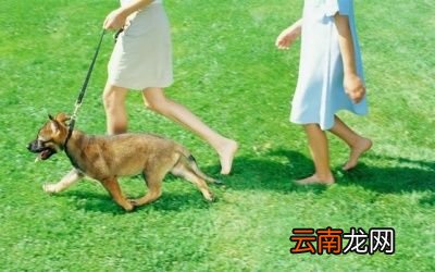健康减脂要如何进行