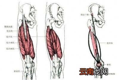 深蹲要注意什么