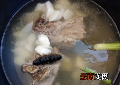 海参山药骨头汤的做法