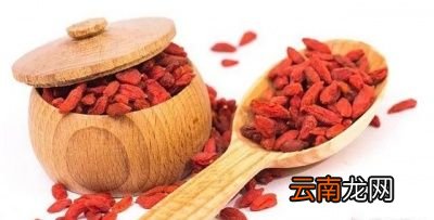 哪些人不適合吃枸杞