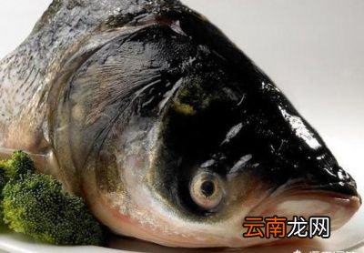 选用什么鱼来做鱼头
