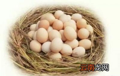 鸡蛋又如何储存才能保鲜更长的时间呢