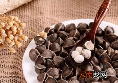 辣木籽服用的注意事项