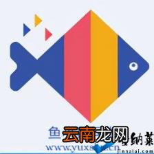 设计调查问卷需要量表吗 如何设计调查问卷