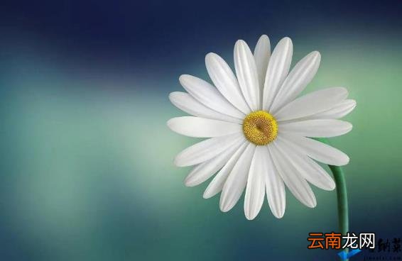 对一个人的评价 如何评价一个人