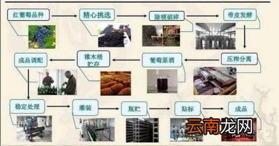 ——红酒为什么需要醒酒——