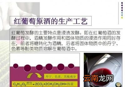 ——红酒为什么需要醒酒——
