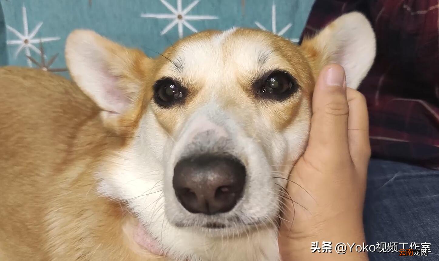笔记本电脑配置怎么看怎么选 笔记本电脑的配置